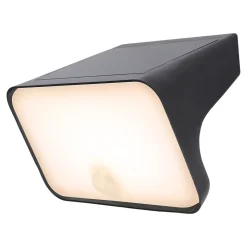 Applique murale solaire LED extérieur noir 900 lm détecteur de mouvement IP54, GoodHome Wendland