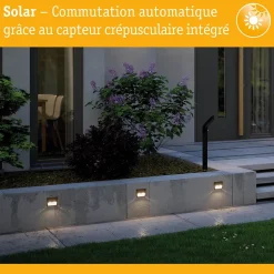 Applique Solaire Extérieure Paulmann 94234 Dayton - Éclairage LED Anthracite