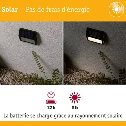 Applique Solaire Extérieure Paulmann 94234 Dayton - Éclairage LED Anthracite