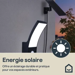 Applique solaire LED extérieur gris 700 lm blanc froid IP44 détecteur de mouvement, GoodHome Gambell