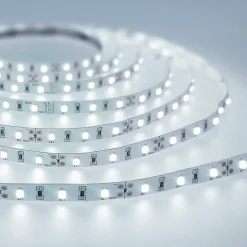 Bande LED 4,8 W/m blanc froid (CW) DC 12 V IP20 500 lm/m 6500 K rouleau 5 m Nastro EDO