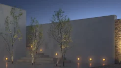 Beneito Faure Applique LED Oma 8W, IP65, Interrupteur CCT 2000K/2800K/4000K, Plafonnier Mural Vintage en Aluminium Ambre