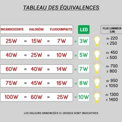 Borne extérieure LUXI 54 Indigo - 7W - 750Lm - 3000K - IP54 - Anthracite