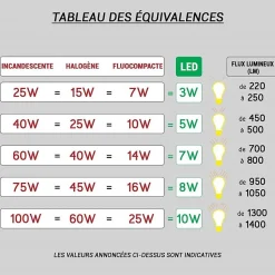 Borne extérieure Ravel Indigo - 10W - 4000K - 570Lm - IP65 - Anthracite