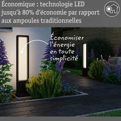 Borne lumineuse LED Reana IP44 carré 832mm 3000K 2x4W 2x240lm 230V Anthracite Métal