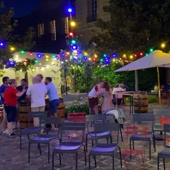 Câble Guirlande Guinguette 50M 50 Douilles