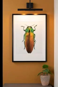 Éclairage tableau VINZ en métal avec 2xG9 - Noir - Lucide