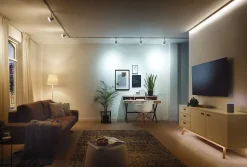 Contrôleur MaxLED Zigbee Paulmann IP20 144W blanc, Gris blanc froid, blanc chaud et blanc P.9,5 cm x H.1,8 cm