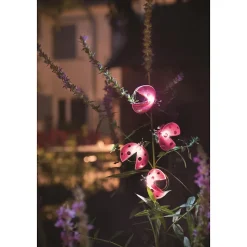 Décoration solaire Coccinelle clipsable- 2 Lumens- Eclairage extérieur Jardin