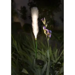 Décoration solaire plumeau- Hauteur 99cm- 10 LED blanc chaud- 2 lumens- Eclairage extérieur Jardin