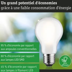 Eco-Line Filament 230 V Ampoule LED E27 Luminaire individuel 1521lm 8,2W 3000K gradable Dépoli