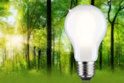 Eco-Line Filament 230 V Ampoule LED E27 Luminaire individuel 1521lm 8,2W 3000K gradable Dépoli