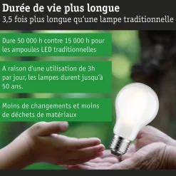 Eco-Line Filament 230 V Ampoule LED E27 Luminaire individuel 1521lm 8,2W 3000K gradable Dépoli