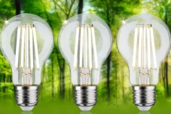 Eco-Line Filament 230 V Ampoule LED E27 Kit de 3 3x840lm 3x4W 3000K Clair