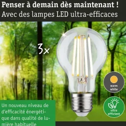 Eco-Line Filament 230 V Ampoule LED E27 Kit de 3 3x840lm 3x4W 3000K Clair