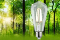 Eco-Line Filament 230 V Ampoules LED ST64 E27 840lm 4W 4000K Clair