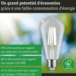 Eco-Line Filament 230 V Ampoules LED ST64 E27 840lm 4W 4000K Clair