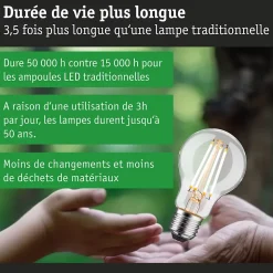 Eco-Line Filament 230 V Ampoule LED E27 Luminaire individuel 1055lm 5,7W 3000K gradable Clair