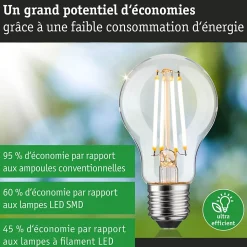 Eco-Line Filament 230 V Ampoule LED E27 Luminaire individuel 1055lm 5,7W 3000K gradable Clair