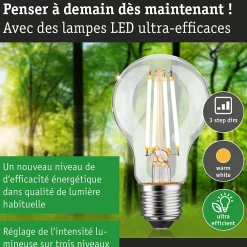 Eco-Line Filament 230 V Ampoule LED E27 Luminaire individuel 1055lm 5,7W 3000K gradable Clair