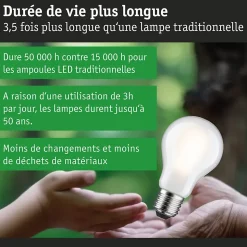 Eco-Line Filament 230 V Ampoule LED E27 Luminaire individuel 1055lm 5,7W 3000K gradable Dépoli