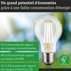 Eco-Line Filament 230 V Ampoule LED E27 Luminaire individuel 1521lm 8,2W 3000K gradable Clair