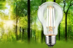 Eco-Line Filament 230 V Ampoule LED E27 Luminaire individuel 1521lm 8,2W 3000K gradable Clair