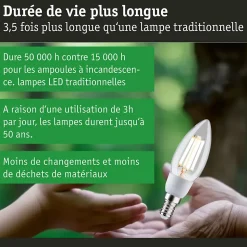 Eco-Line Filament 230 V Bougie LED E14 3x525lm 3x2,5W 3000K Clair