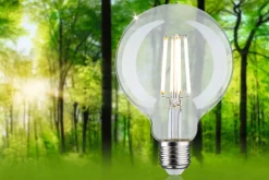 Eco-Line Filament 230 V Globe LED G95 E27 840lm 4W 3000K Clair