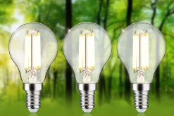 Eco-Line Filament 230 V Sphérique LED E14 Kit de 3 82mm 525lm 2,5W 3000K Clair