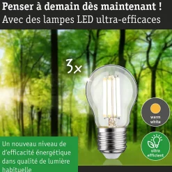 Eco-Line Filament 230 V Sphérique LED Kit de 3 80mm 525lm 2,5W 3000K Clair