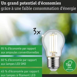 Eco-Line Filament 230 V Sphérique LED Kit de 3 80mm 525lm 2,5W 3000K Clair
