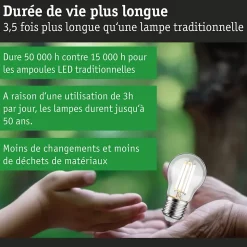 Eco-Line Filament 230 V Sphérique LED Kit de 3 80mm 525lm 2,5W 3000K Clair
