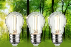 Eco-Line Filament 230 V Sphérique LED Kit de 3 80mm 525lm 2,5W 3000K Clair