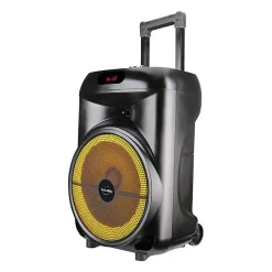 Enceinte trolley - INOVALLEY - KA122 - 700W - Bluetooth - Lumineuse
