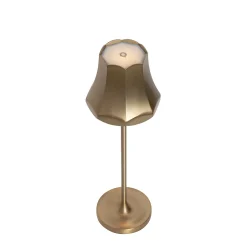 Ensemble de 2 lampes de table rétro or rose rechargeables IP44 - Granny