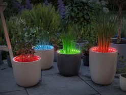 Extension Flower Box Link + Light 80cm RGB avec Touch Switch