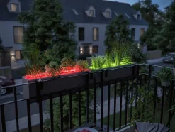 Extension Flower Box Link + Light 80cm RGB avec Touch Switch
