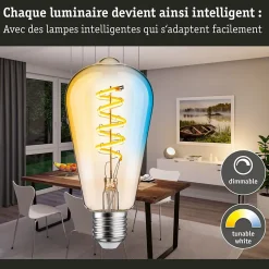 Filament 230 V Smart Home Zigbee 3.0 Ampoules LED ST64 E27 600lm 7,5W Tunable White gradable Doré