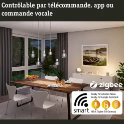 Filament 230 V Smart Home Zigbee 3.0 Ampoules LED ST64 E27 600lm 7,5W Tunable White gradable Doré