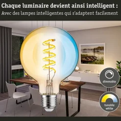 Filament 230 V Smart Home Zigbee 3.0 Globe LED G95 E27 600lm 7,5W Tunable White gradable Doré