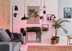 Grow Green Edition Filament 230 V Réflecteur LED GU10 95lm 3,5W 1100K Argent Pousse-plante