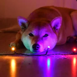 Guirlande Dolce animée - Chromex