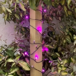 Guirlande Dolce animée - Chromex