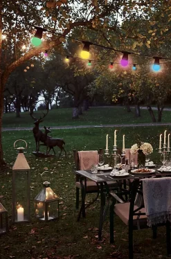 Guirlande extérieure 10 ampoules B22 multicolor 300 Lumens Pro 10m TIBELEC