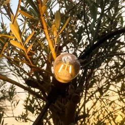 Guirlande guinguette B22 filament - Chromex