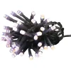Guirlande électrique bicolore 40 Led