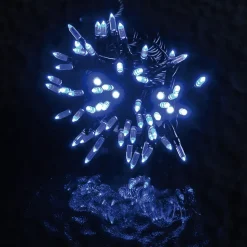 Guirlande électrique exterieur 80 led grain de riz bleu anime