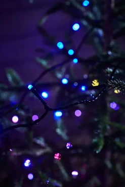 Guirlande LED fixe, 200xLED, 20W, IP44, multicolore et noir - Markslöjd - Choice