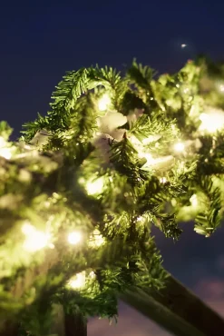 Guirlande LED fixe, 100x9,2W, IP44, vert - Markslöjd - Chrissline Garland